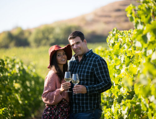 Unlocking Temecula’s Charm: Why It’s a Premier Destination for Wine Enthusiasts